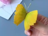 Faire un papillon avec une feuille de Ginkgo Biloba