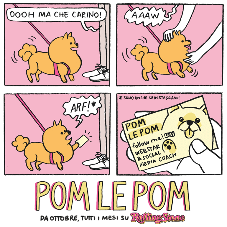 POM LE POM