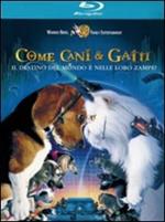 Come cani & gatti