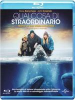 Qualcosa di straordinario (Blu-ray)