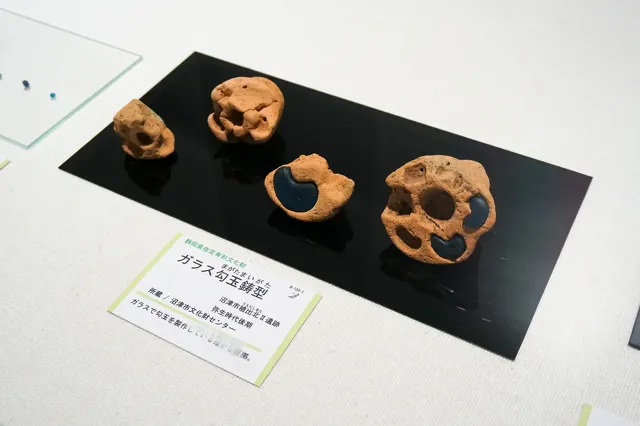 新潟県立歴史博物館2024秋季テーマ展 珠玉の国新潟