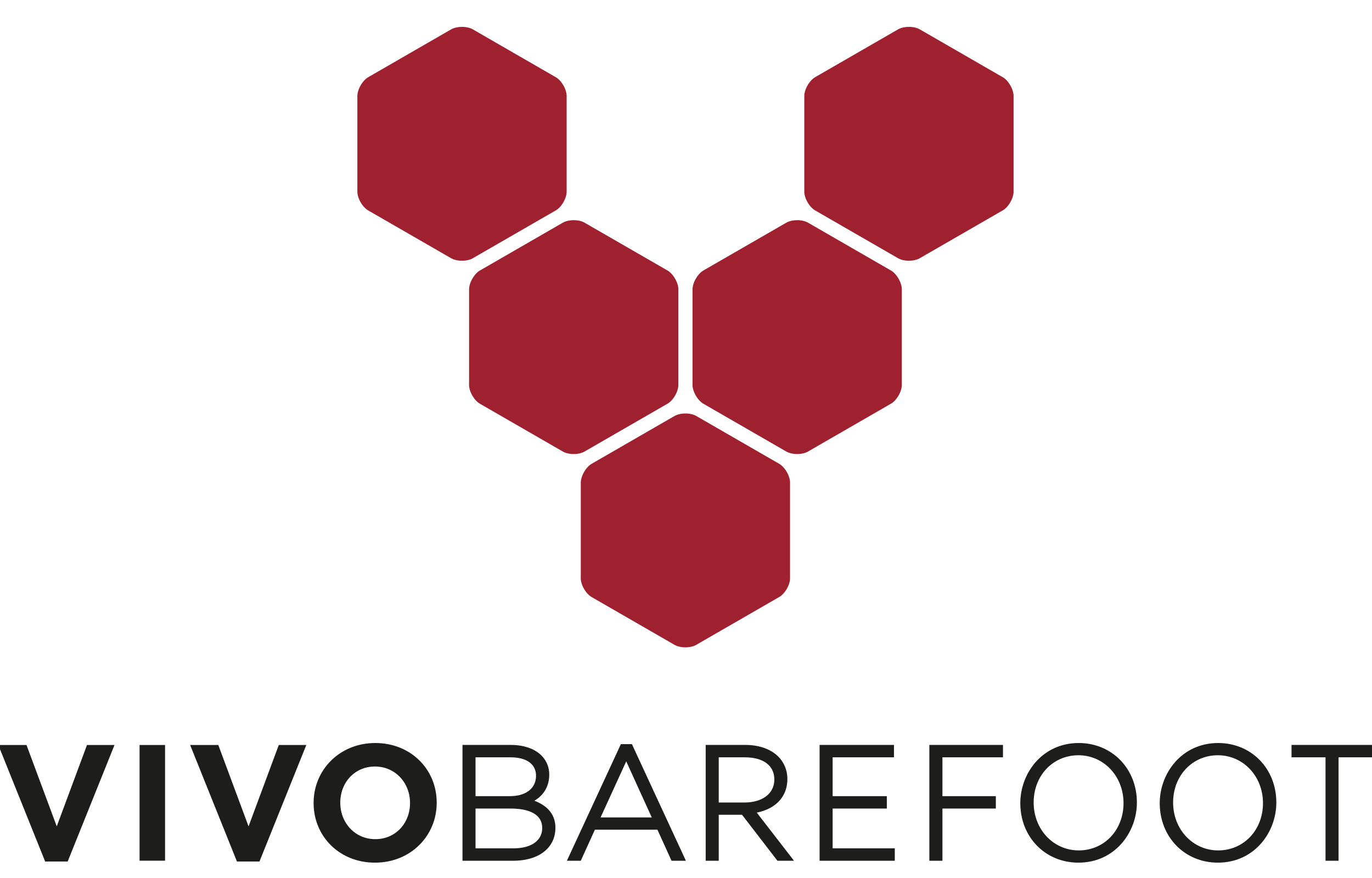 VivoBarefoot transparent logo