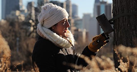 Zoo scientist installing a motion-activated field camera in Chicago