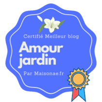 Certifié meilleur blog par Maisonae