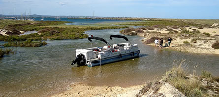 Aluguer de Barcos: Passeios em Privado no Algarve