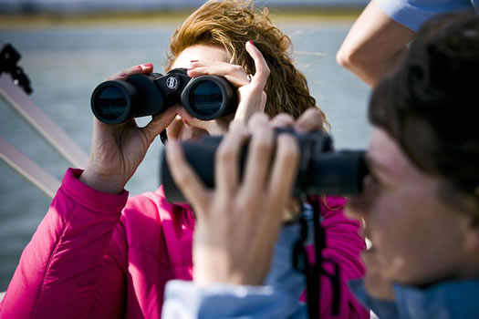 Passeio de Barco: Birdwatching (2,5h)