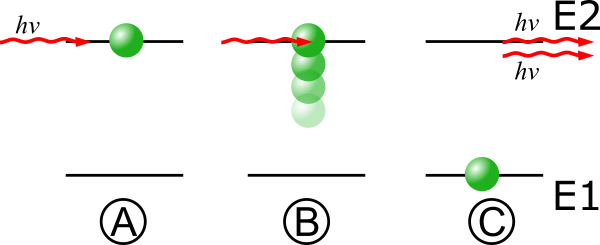 Stimulated Emission