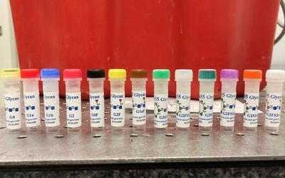 A row of plastic vials with different-colored caps all labeled "Glycan."