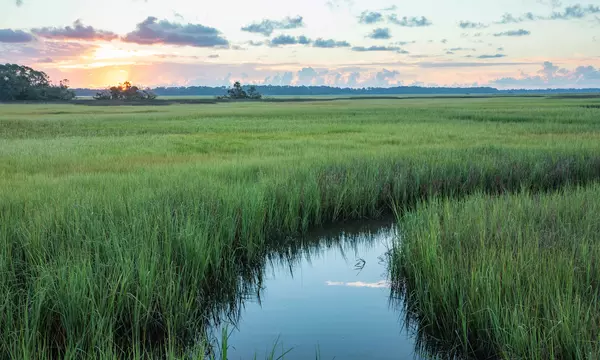 The sun rises over a green marsh with an open channel of water running through. 