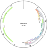 DNA Plasmid containing 13 PCR targets for water quality testing