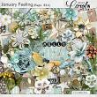 Oscrap-JanuaryFeeling-kit