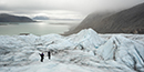 Retreating glaciers: fungi enhance carbon storage in young Arctic soils 