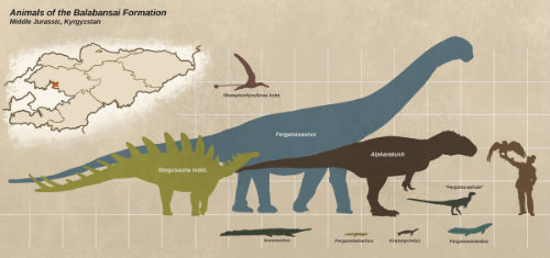 Paleontology: new predatory dinosaur with a distinctive "eyebrow" 