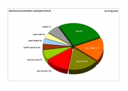 Současné procentuální zastoupení dřevin – les Krejcárek