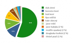 Lesy V Šeberově - zastoupení dřevin