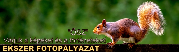 Fotópályázat