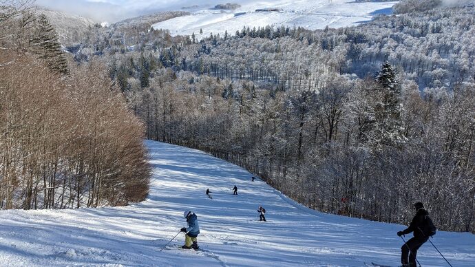 En 2024, la Collectivité d’Alsace finance la neige artificielle partout où elle peut