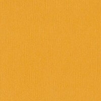 Bazzill Basics - 12 x 12 Cardstock - Grasscloth Texture - Fourz - Amber