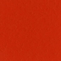 Bazzill Basics - 12 x 12 Cardstock - Grasscloth Texture - Fourz - Classic Orange