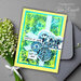 Creative Expressions - Clear Photopolymer Stamps - French Seals