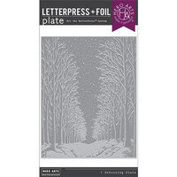 Hero Arts - Letterpress and Foil Plate - Snowy Night