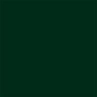 My Colors Cardstock - By PhotoPlay - 12 x 12 Classic Cardstock - Forest Green