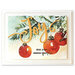 Penny Black - Christmastime Collection - 3.25 x 4.5 Premium Cardstock Pack