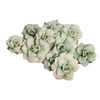 Prima Marketing - The Home Baker Collection - Flower Embellishments - Mint Chip Roses