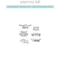 Papertrey Ink - Clear Photopolymer Stamps - Just Sentiments - Thinking Of You