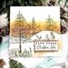 Sizzix - 49 and Market Collection - Framelits Dies with Clear Stamps - Pine Holidays