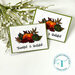 Trinity Stamps - Halloween - Clear Photopolymer Stamps - Thankful and Grateful