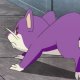 Goh's Rattata