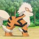 Diana's Arcanine