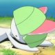 Wild's Ralts