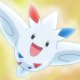 Dawn's Togekiss