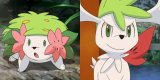 Wild's Shaymin