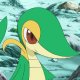 Ash's Snivy