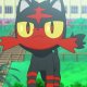 Wild's Litten