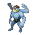 Machamp