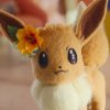 Trainer's Eevee