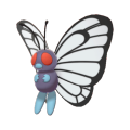 Butterfree