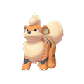 Growlithe