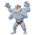 Machamp