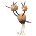 Dodrio