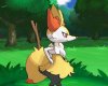 Braixen Appears