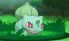 Bulbasaur Appears