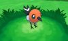 Fletchling in battle