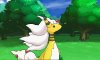 Mega Ampharos Appears