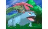 Mega Venusaur Appears