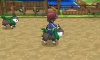 Skiddo being ridden in a farm